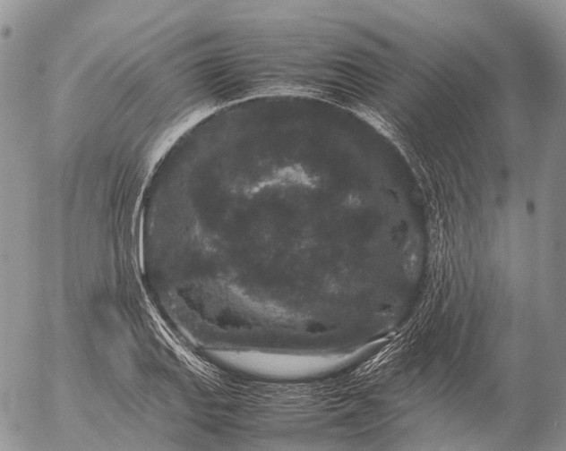 X0000057101127200509231709