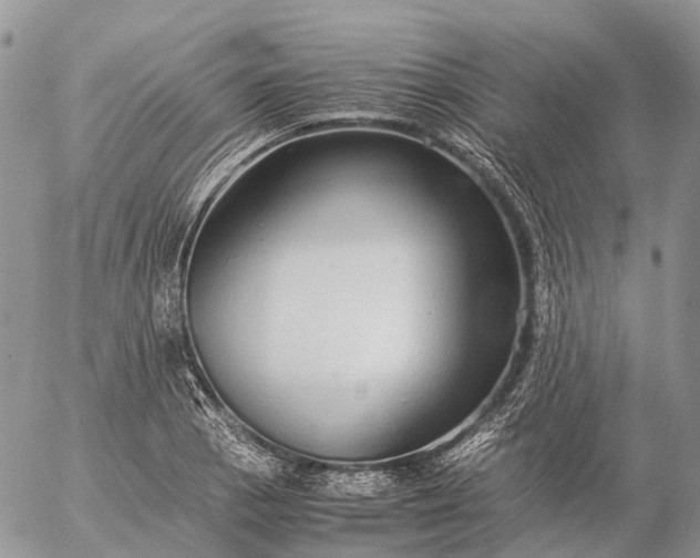 X0000057101129200509231709