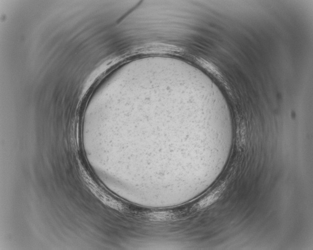 X0000057101130200509231709