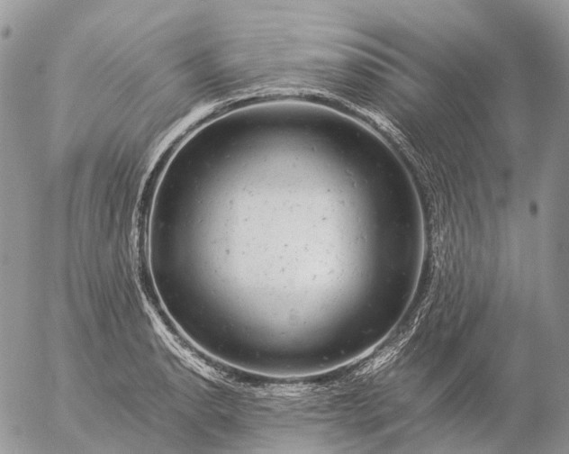 X0000057101134200509231709