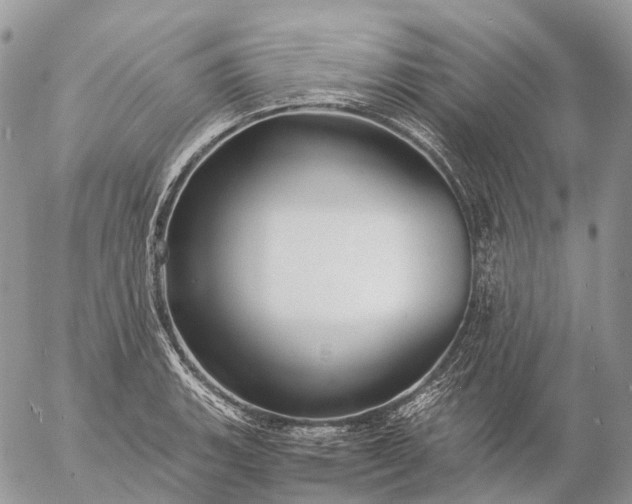 X0000057101135200509231709