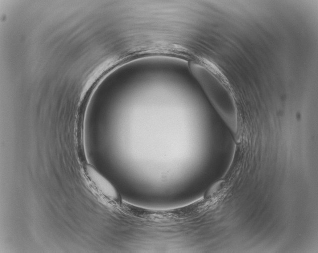 X0000057101138200509231709