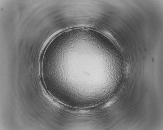 X0000057101140200509231709