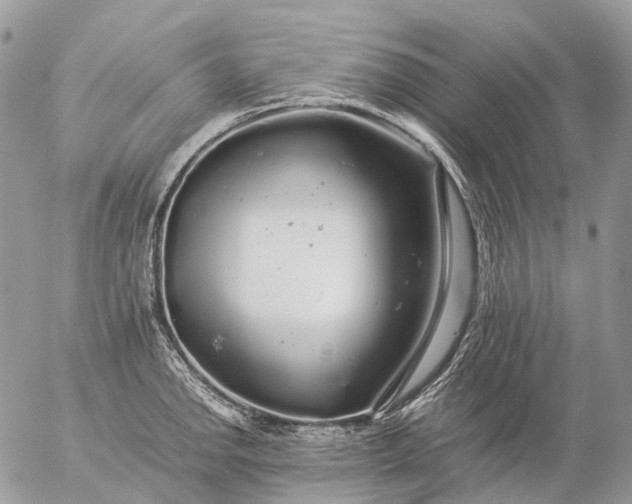 X0000057101142200509231709