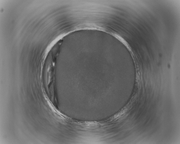 X0000057101144200509231709