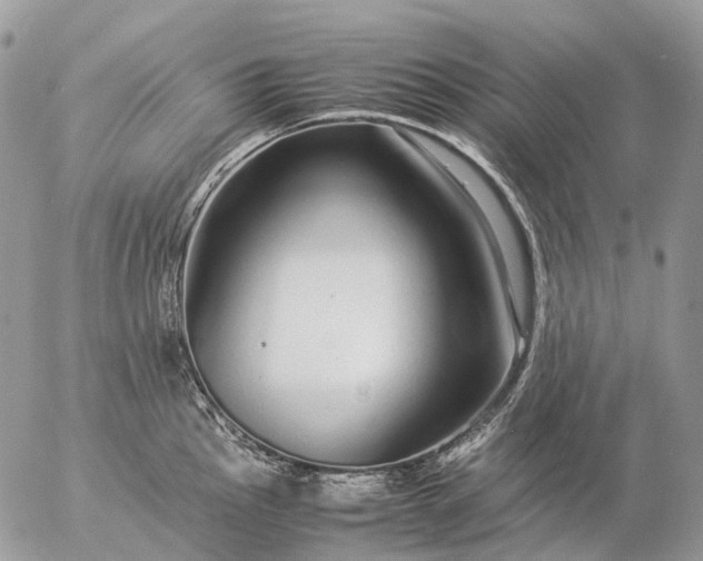 X0000057101145200509231709