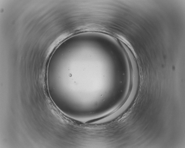 X0000057101146200509231709