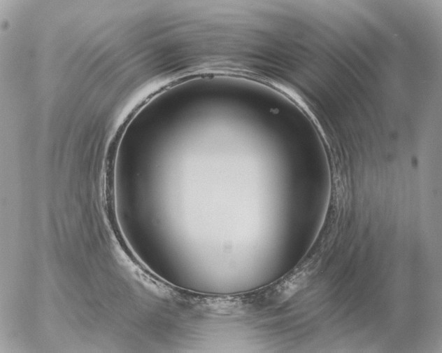 X0000057101147200509231709