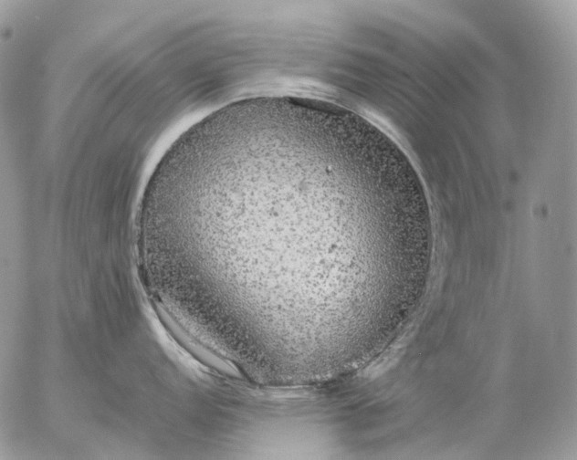 X0000057101152200509231709