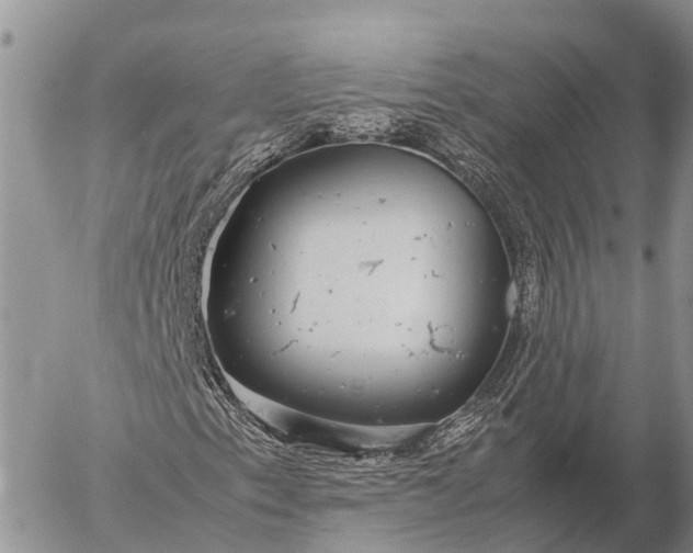 X0000057101153200509231708