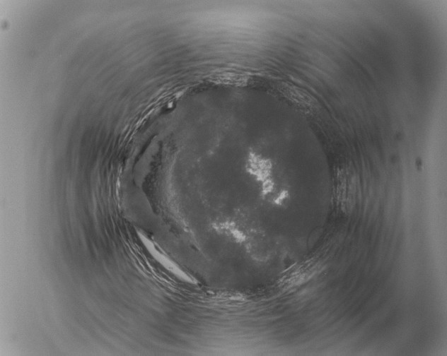 X0000057101154200509231708