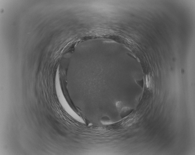 X0000057101155200509231708