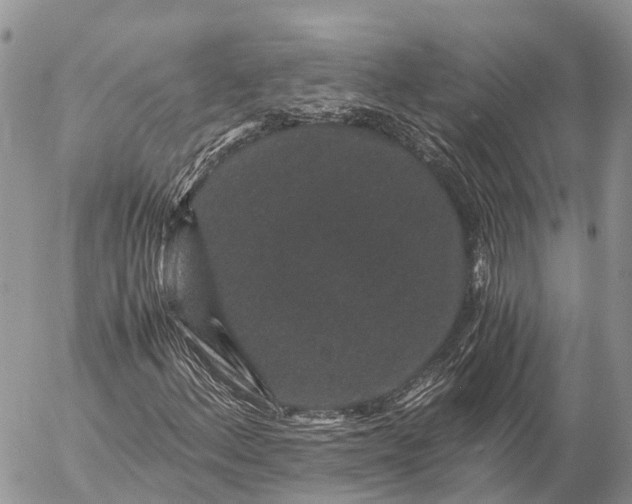 X0000057101156200509231708