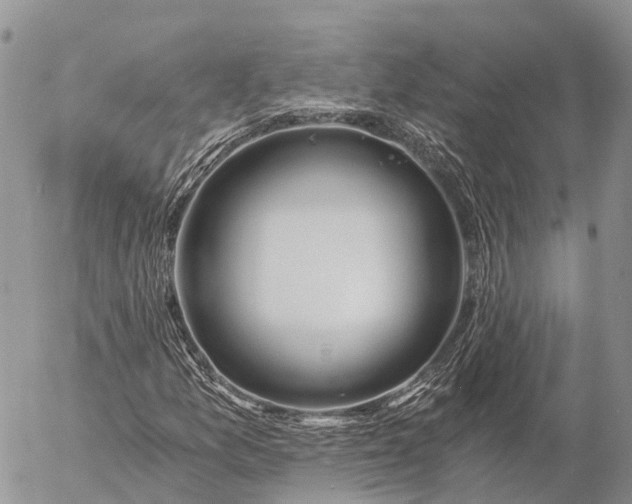 X0000057101157200509231708