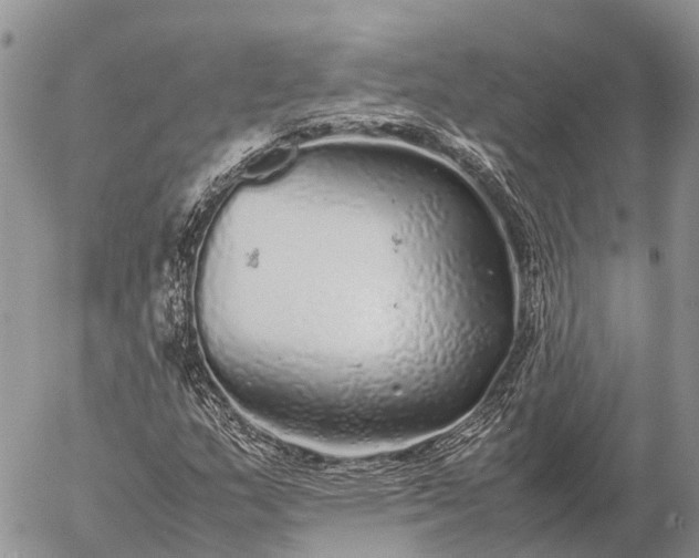 X0000057101159200509231708