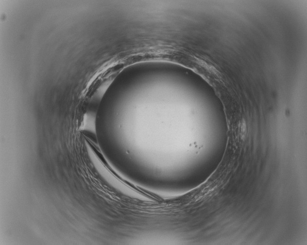 X0000057101160200509231708