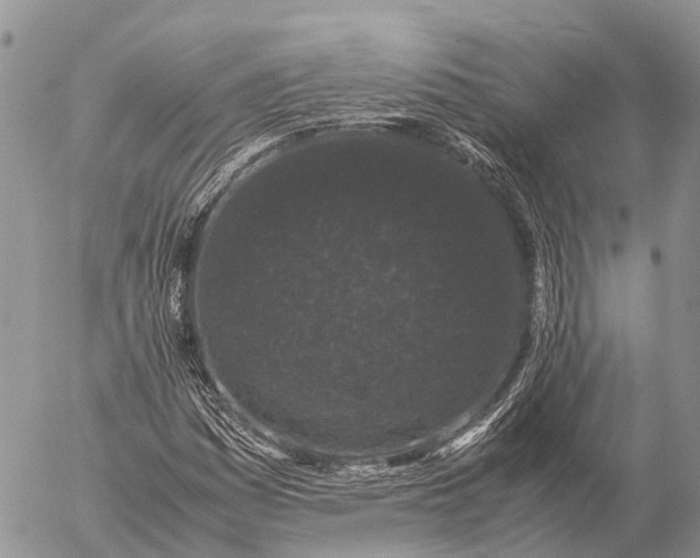 X0000057101161200509231708