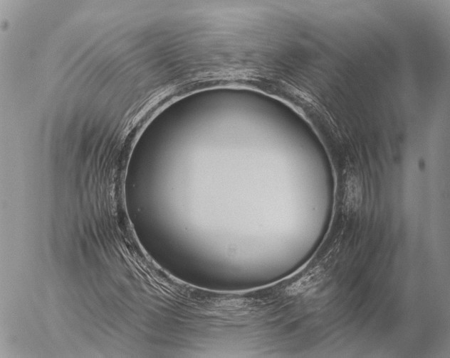 X0000057101162200509231708