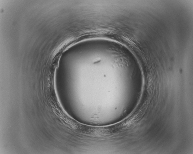 X0000057101163200509231708