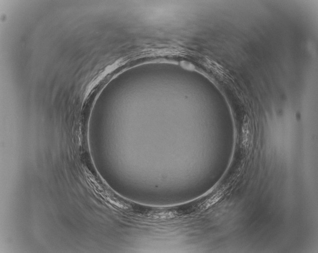 X0000057101165200509231708