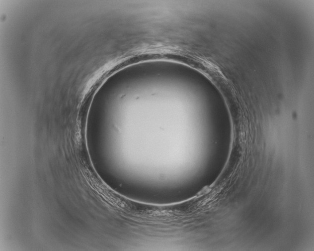 X0000057101167200509231708