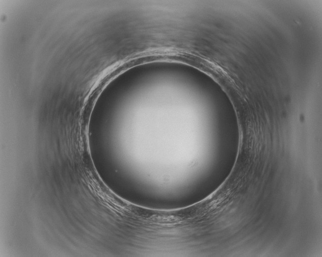 X0000057101168200509231708