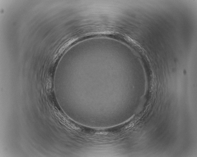 X0000057101169200509231708