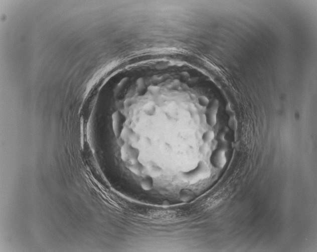 X0000057101171200509231708