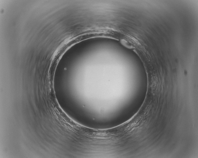 X0000057101172200509231708