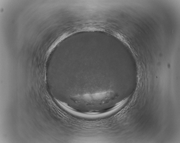 X0000057101173200509231708