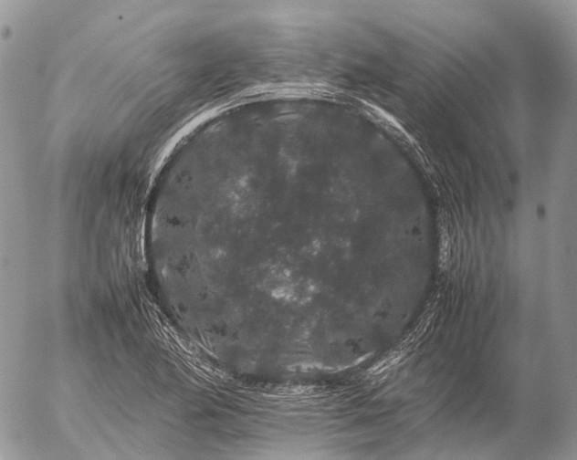 X0000057101174200509231708