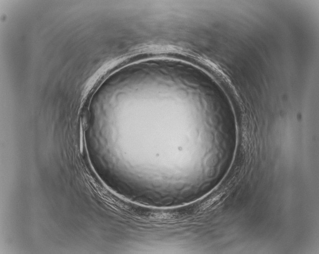 X0000057101175200509231708