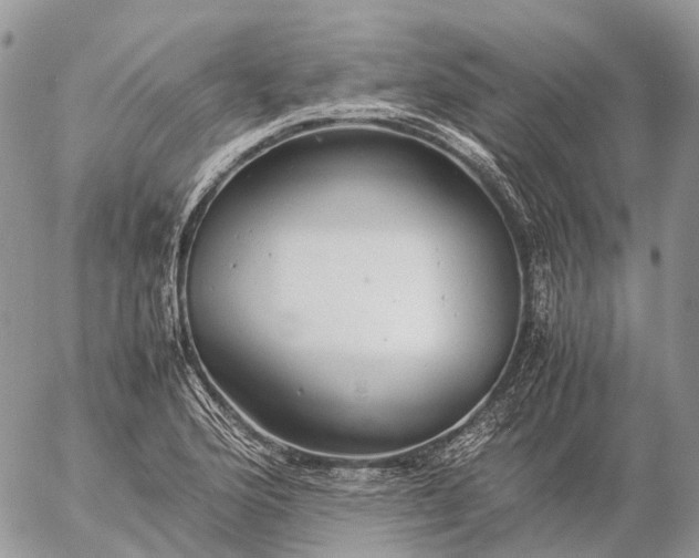 X0000057101176200509231708