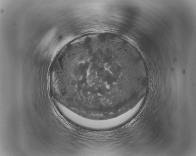 X0000057101179200509231708