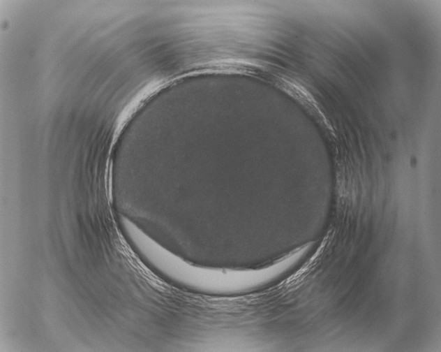 X0000057101180200509231708