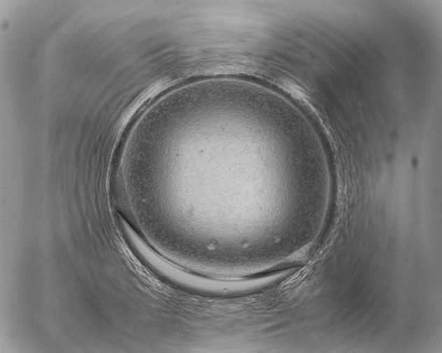 X0000057101181200509231708