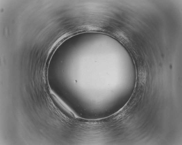 X0000057101182200509231708