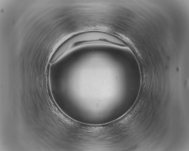 X0000057101184200509231708