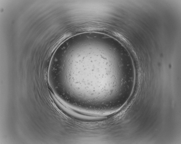 X0000057101185200509231708