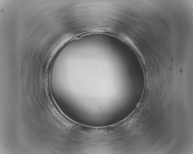 X0000057101187200509231708