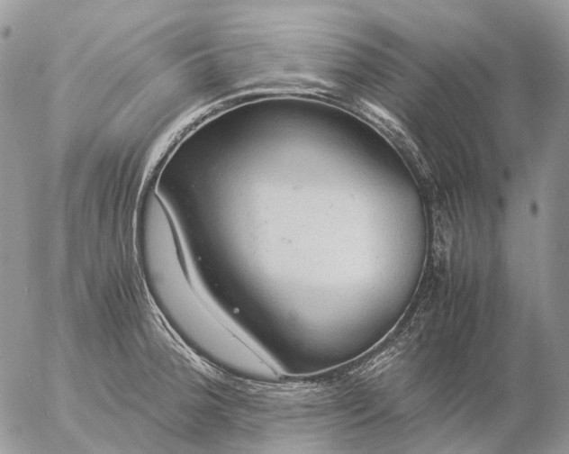 X0000057101188200509231708