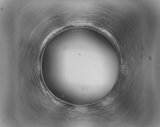 X0000057101191200509231708