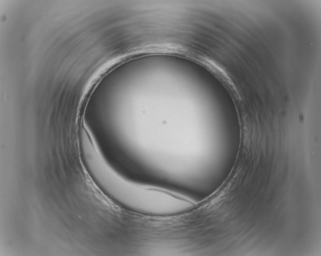 X0000057101192200509231708