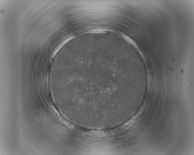 X0000057101194200509231708