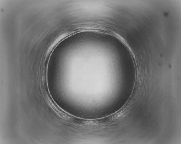 X0000057101195200509231707