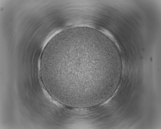 X0000057101198200509231707