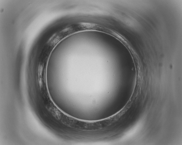 X0000057101199200509231707