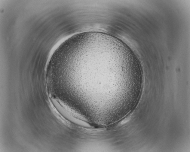 X0000057101200200509231707