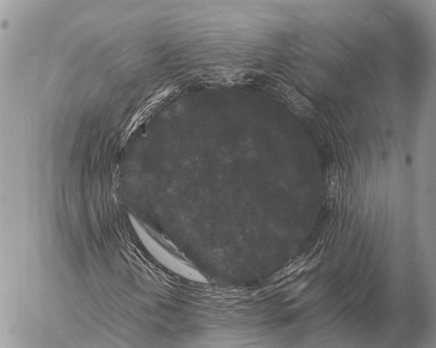 X0000057101202200509231707