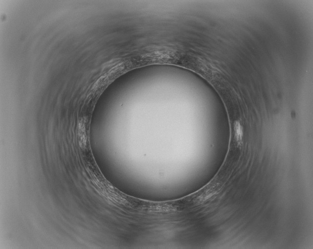 X0000057101203200509231707